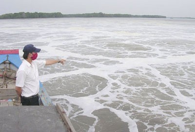 Thi Vai River has been seriously polluted as a result. Thi Vai River has been seriously polluted as a result.
